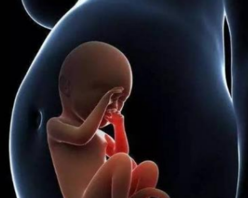 香港哪个验血机构最好,美国试管专家：单角子宫女性生双胎是否可行？