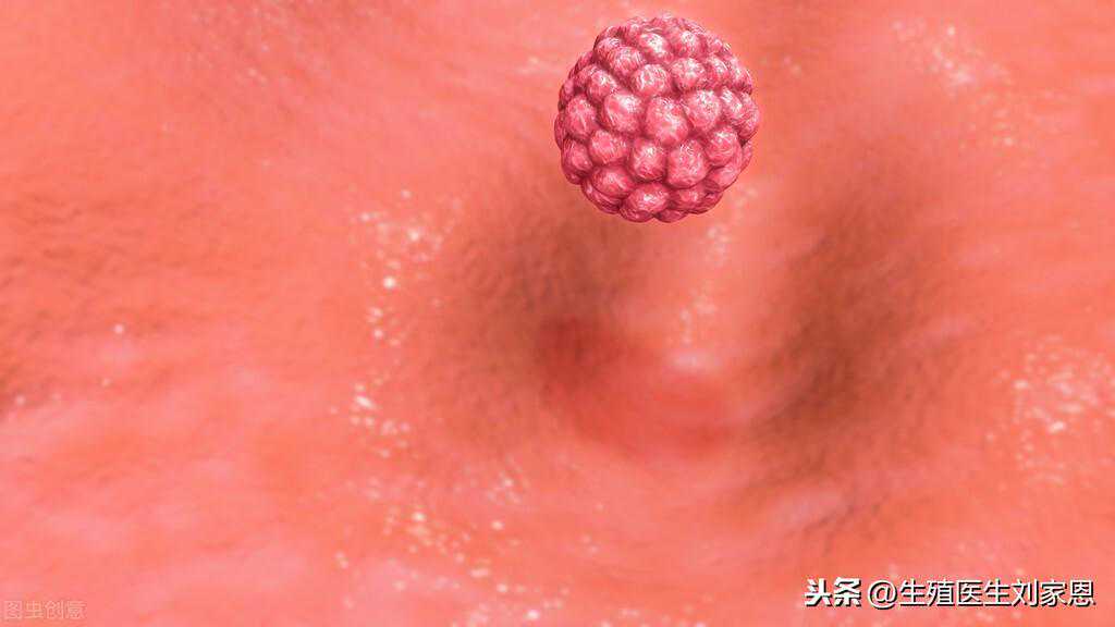 香港达雅高验血需要几周,43岁卵巢功能差，做试管怀孕希望大吗？促排卵短方案