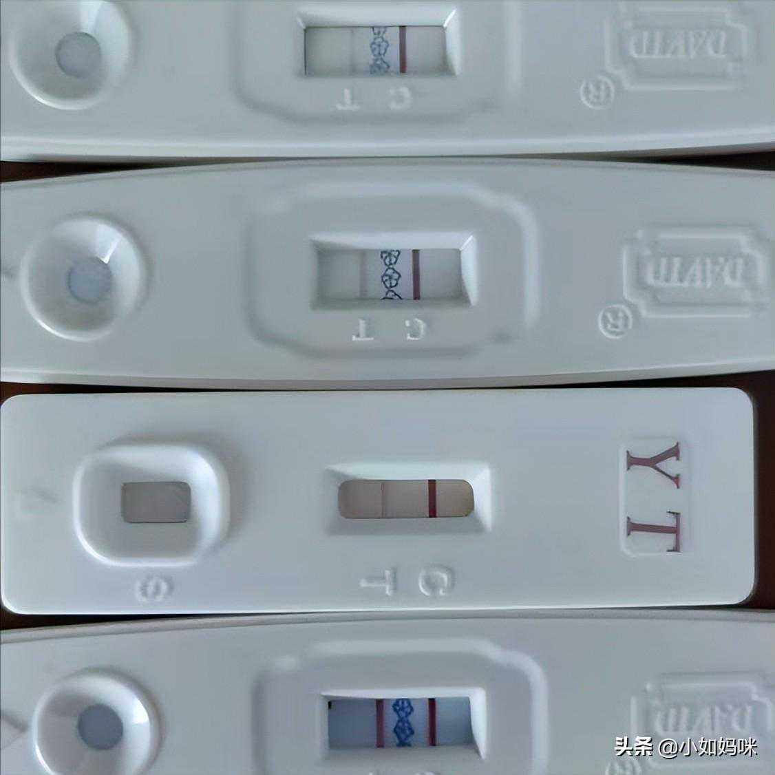 香港验血鉴定男女有翻盘的吗,别以为怀男宝宝真的很难，备孕做好了你也可以