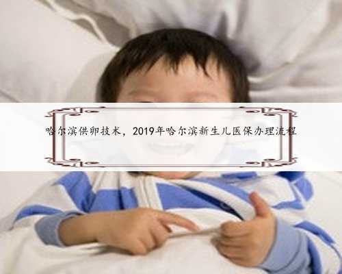 哈尔滨供卵技术，2019年哈尔滨新生儿医保办理流程