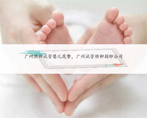 广州供卵试管婴儿花费，广州试管供卵捐卵公司