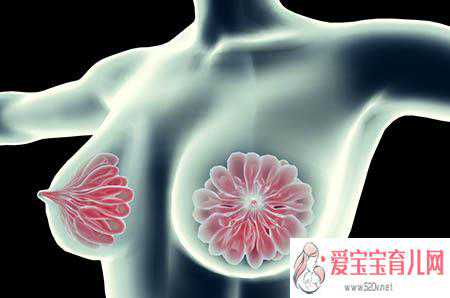 香港验血多长时间出结果,经期前乳房胀痛是何故？