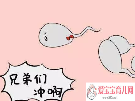 怀孕后到香港验血,男性备孕营养食谱男性生男孩的健康饮食习惯
