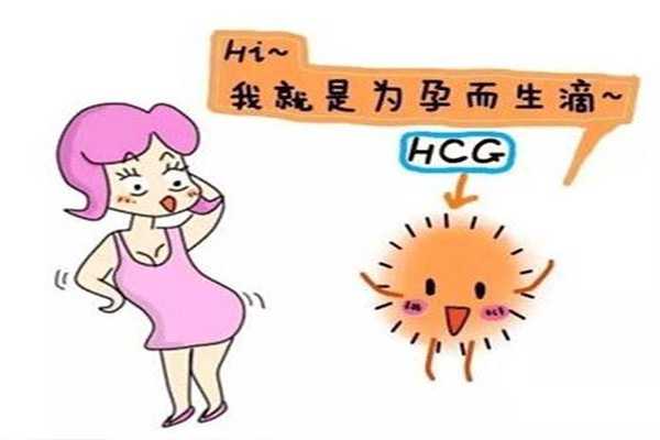 香港验血6周条件,专家告诉你试管婴儿血hcg值在50左右代表着床成功